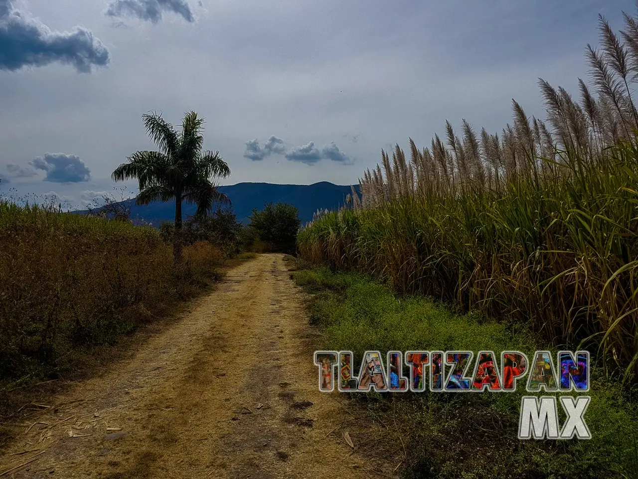 Camino a la orilla del canal rumbo al cerro Santa María de Tlaltizapán, Morelos, México