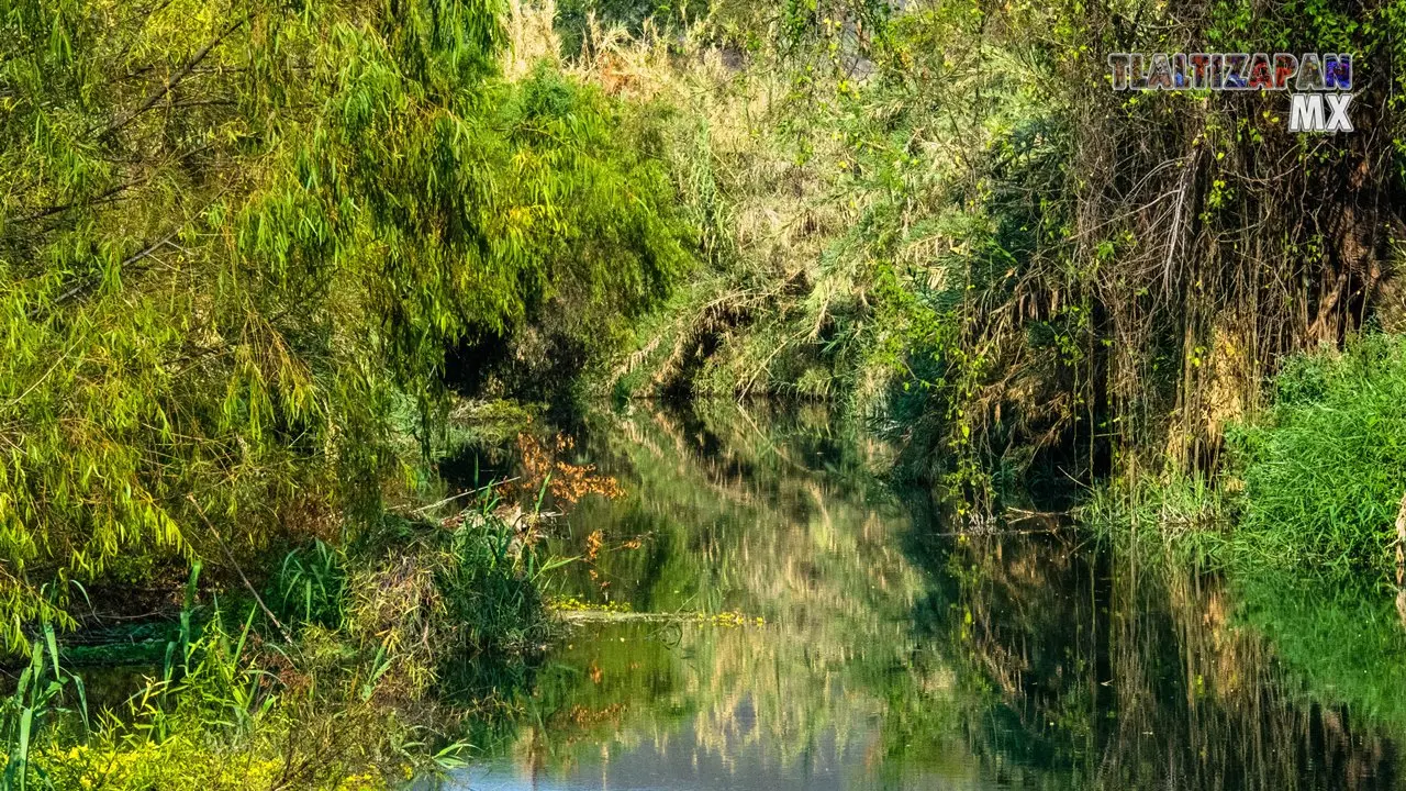 Bello paisaje del rio de Yautepec antes de "La toma de Alejandra"