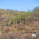 Explorando el Encanto del Cerro de Cactus en el pueblo Magico de Tlaltizapán, Morelos