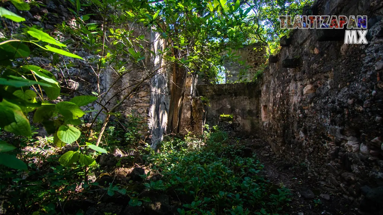 creciente naturaleza en Ex-hacienda.