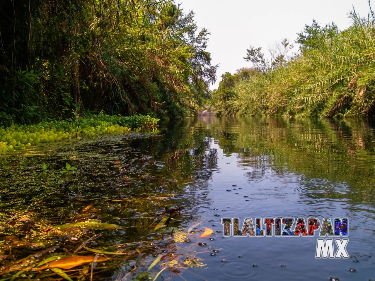 Las compuertas de Tlaltizapán, Morelos 21 de Mayo del 2011 | Colecciones multimedia | Tlaltizapan.mx