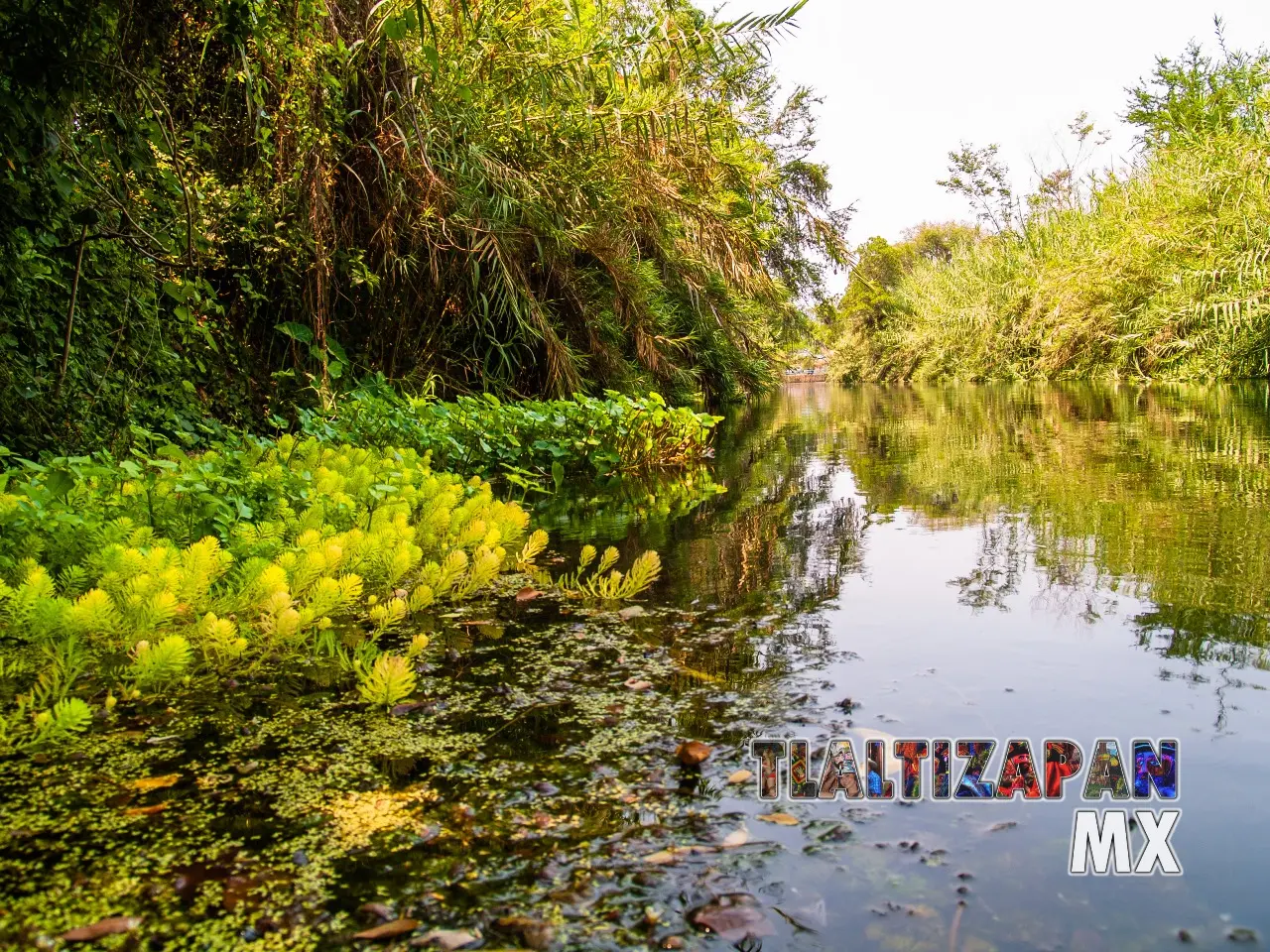 Las compuertas de Tlaltizapán, Morelos 21 de Mayo del 2011 | Colecciones multimedia | Tlaltizapan.mx