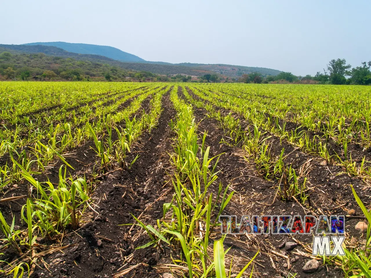 Las compuertas de Tlaltizapán, Morelos 21 de Mayo del 2011 | Colecciones multimedia | Tlaltizapan.mx