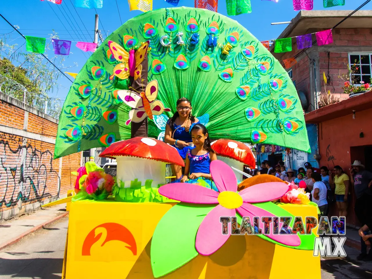 Carnaval de Tlaltizapán 2020 Domingo 23 de Febrero | Colecciones multimedia | Tlaltizapan.mx