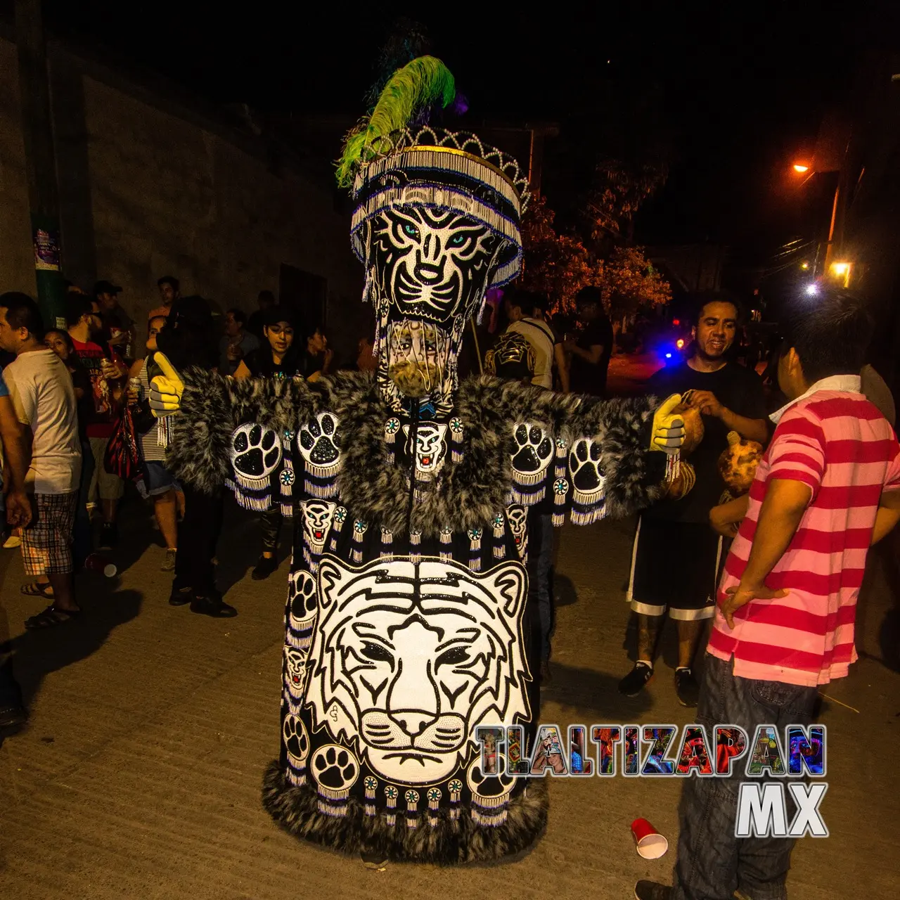 Carnaval de Tlaltizapán 2020 Lunes 24 de Febrero | Colecciones multimedia | Tlaltizapan.mx