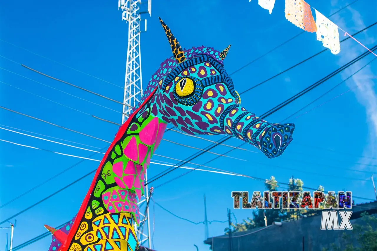 Carnaval de Tlaltizapán 2020 Martes 25 de Febrero | Colecciones multimedia | Tlaltizapan.mx