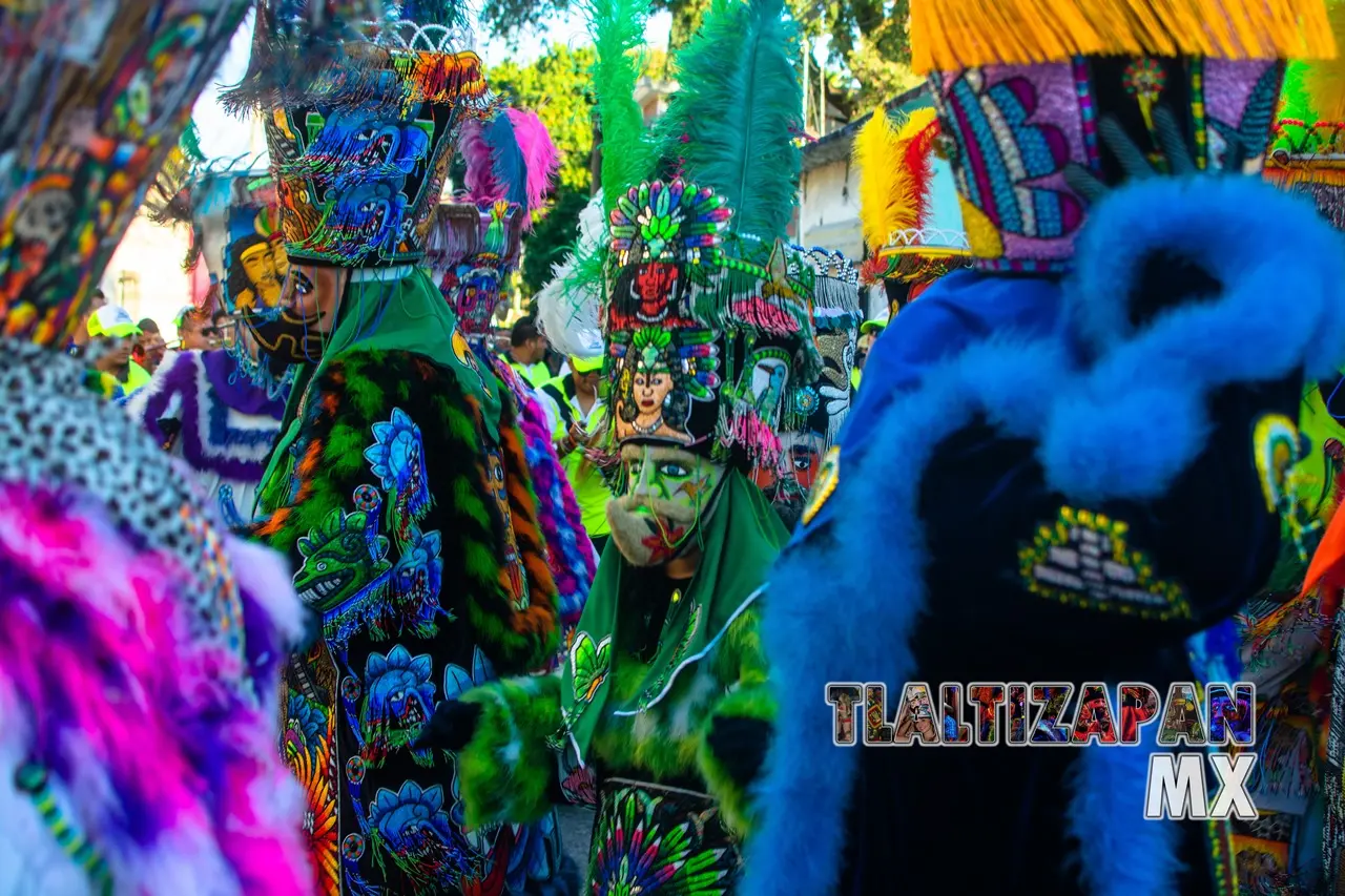 Carnaval de Tlaltizapán 2020 Martes 25 de Febrero | Colecciones multimedia | Tlaltizapan.mx