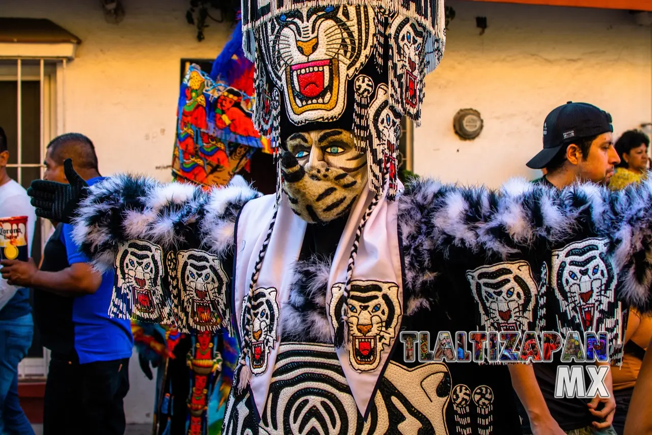 Carnaval de Tlaltizapán 2020 Martes 25 de Febrero | Colecciones multimedia | Tlaltizapan.mx