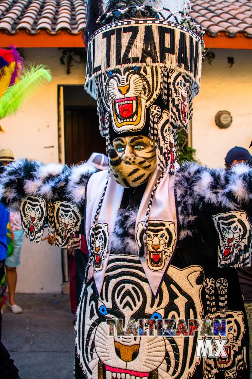 Carnaval de Tlaltizapán 2020 Martes 25 de Febrero | Colecciones multimedia | Tlaltizapan.mx