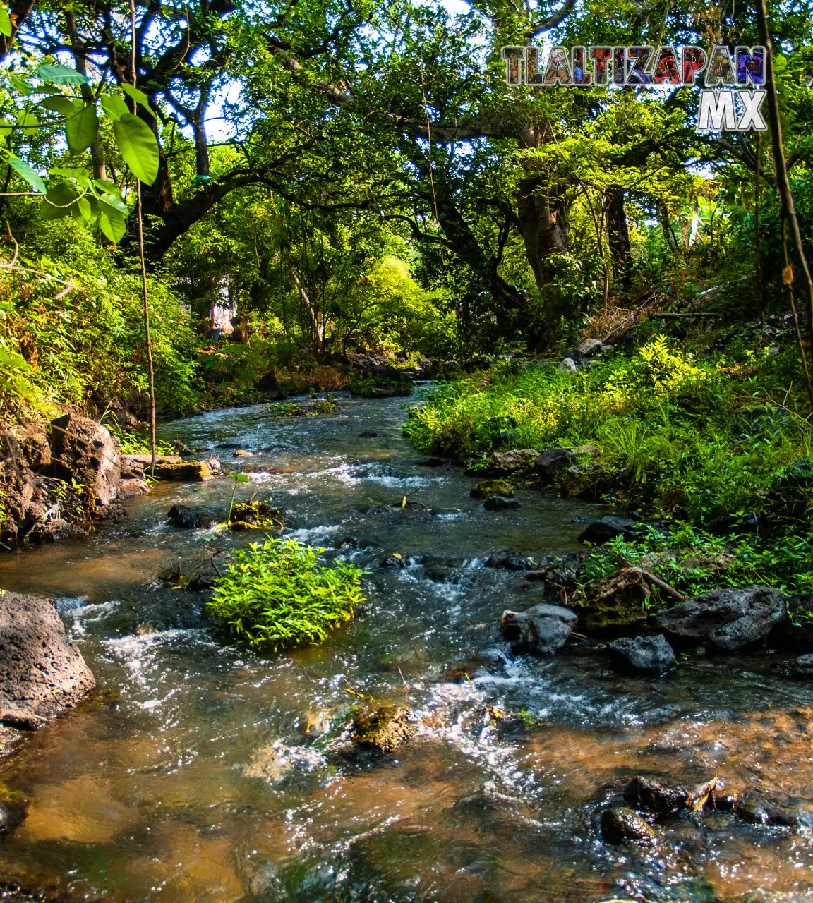 Rio de Tilingo 2013 | Colecciones multimedia | Tlaltizapan.mx