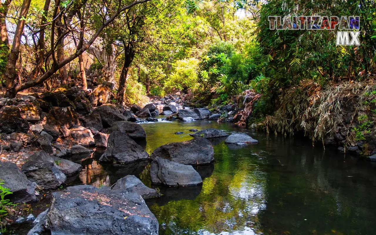 Rio de Tilingo 2013 | Colecciones multimedia | Tlaltizapan.mx