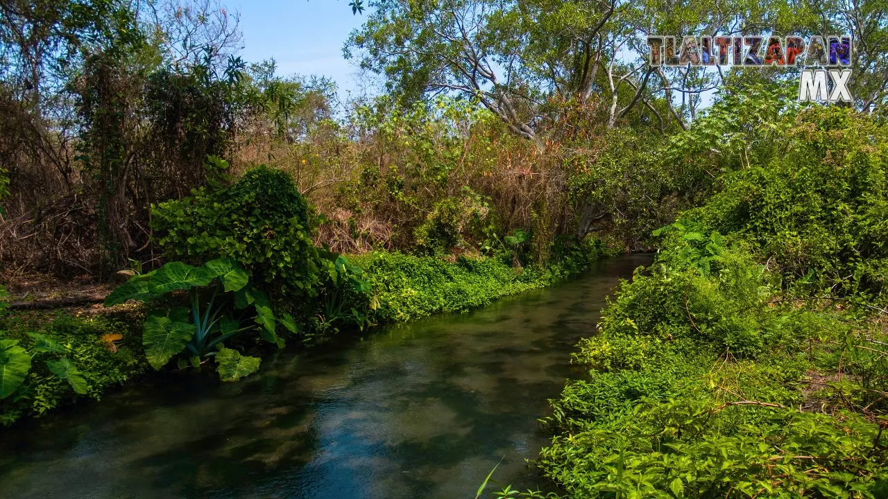 Rio de Tilingo 2013 | Colecciones multimedia | Tlaltizapan.mx