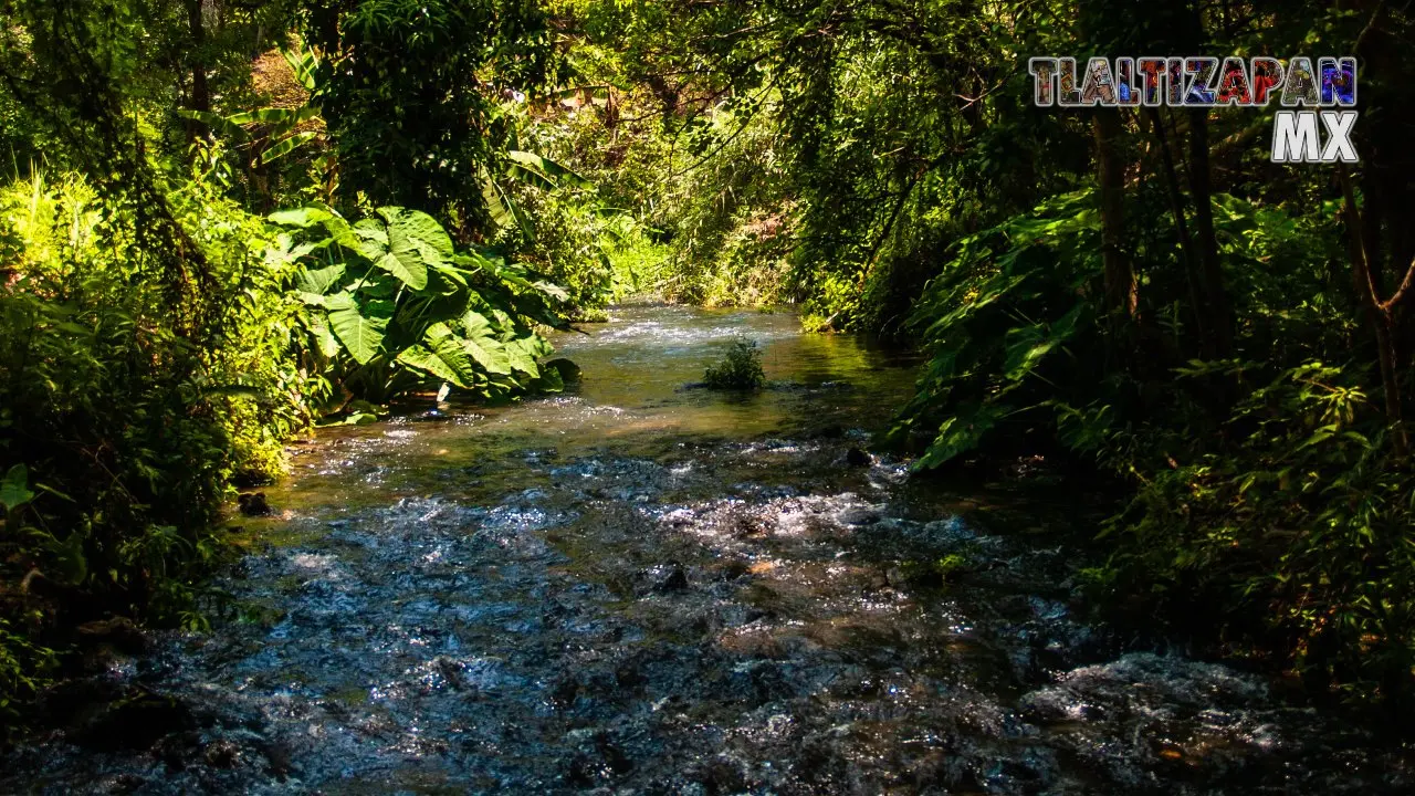 Rio de Tilingo 2013 | Colecciones multimedia | Tlaltizapan.mx