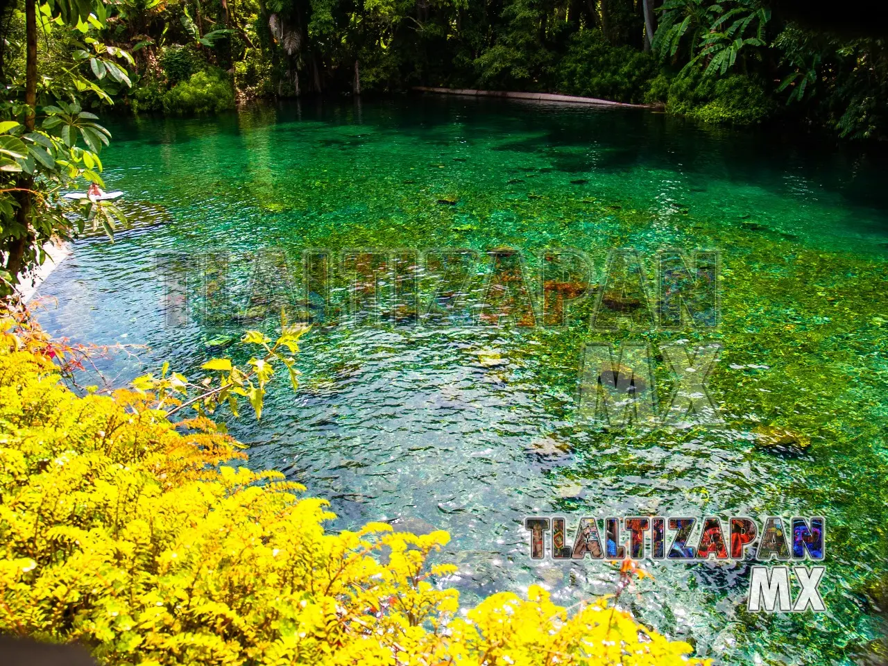 Paisaje de la Poza Chica del balneario Las Estaca de Tlaltizapán, Morelos.