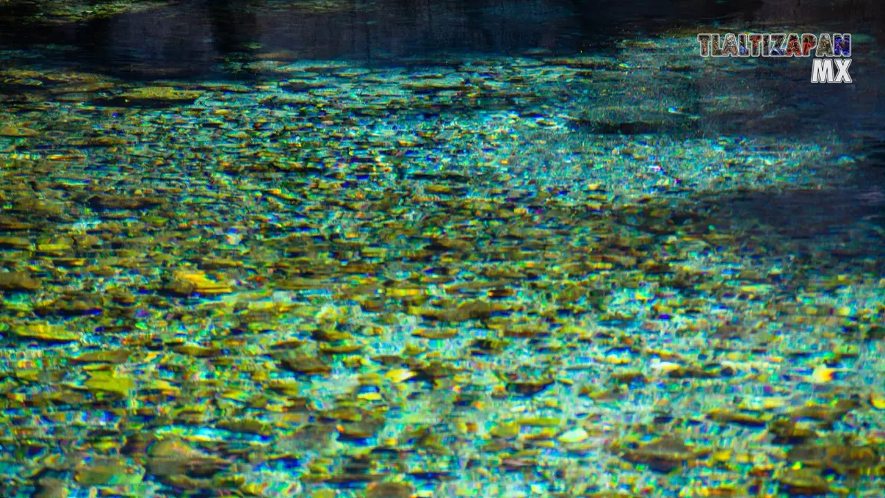 Agua cristalina que nace en este hermoso rincon de Morelos