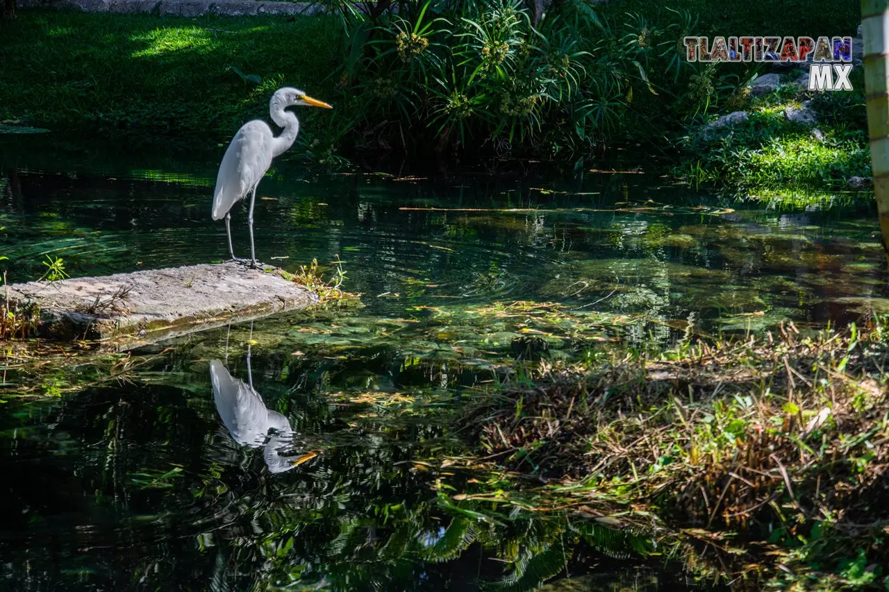 Parque acuático natural.