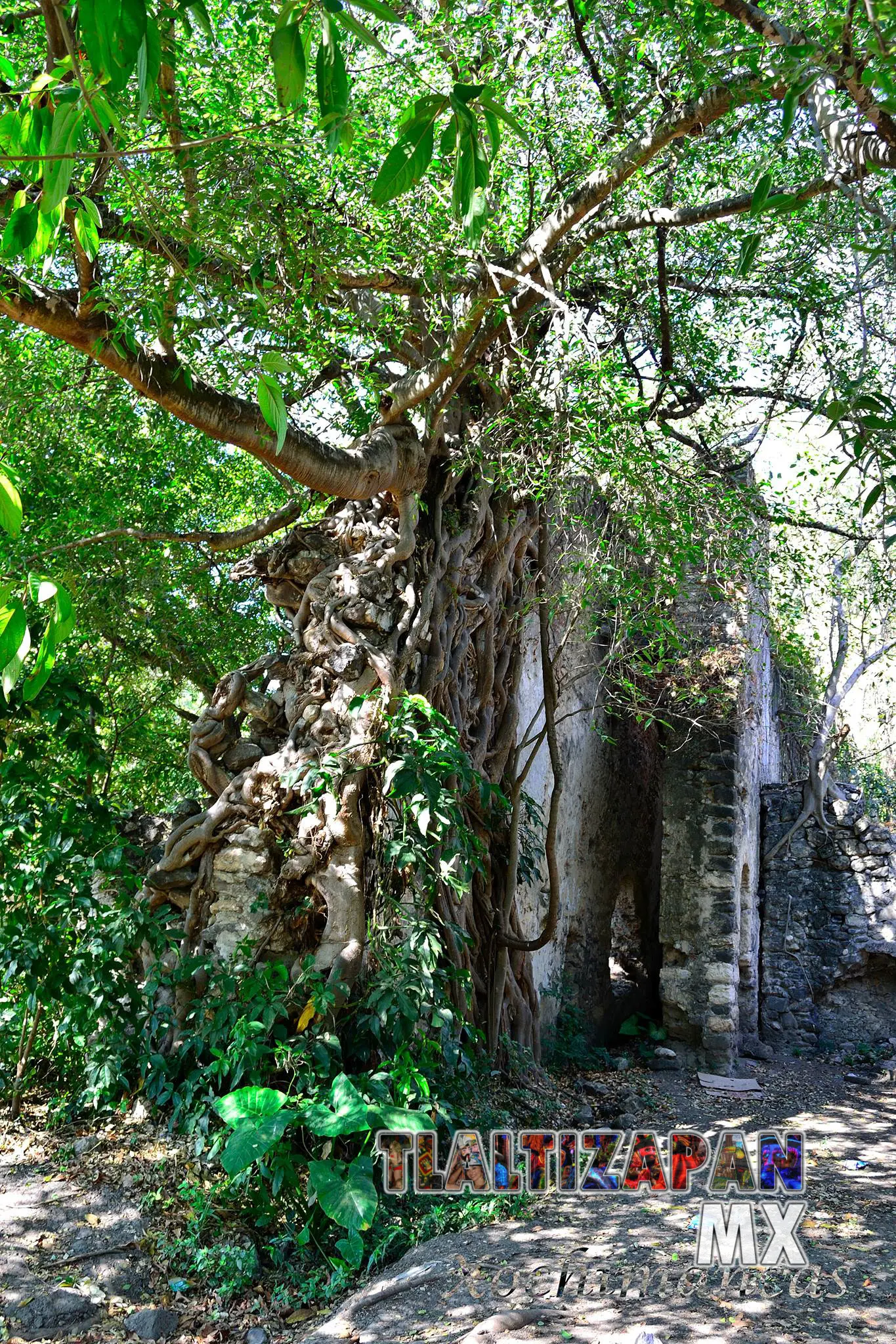 Ex-hacienda de Xochimancas en Ticuman, Tlaltizapán, Morelos Enero del 2016 | Colecciones multimedia | Tlaltizapan.mx