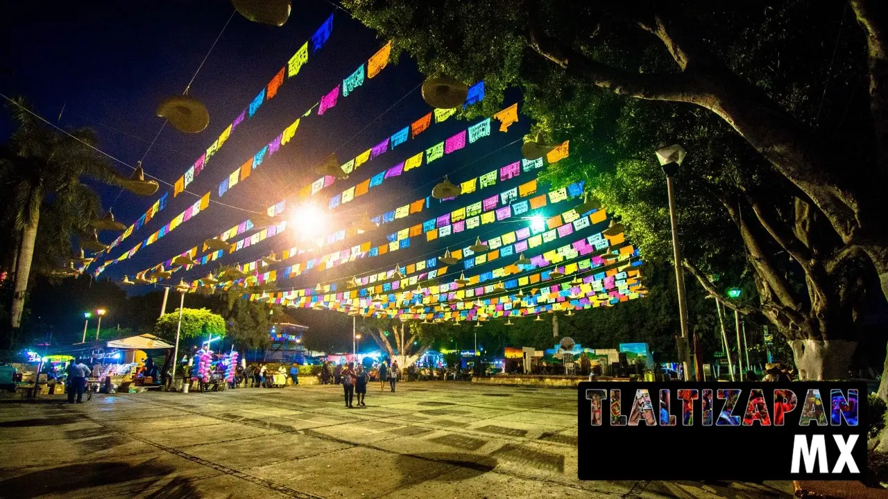 Carnaval de Tlaltizapán 2019 - Parte 1 | Colecciones multimedia | Tlaltizapan.mx