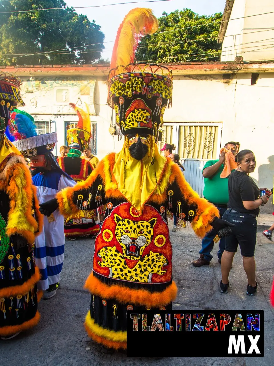 Carnaval de Tlaltizapán 2019 - Parte 2 | Colecciones multimedia | Tlaltizapan.mx