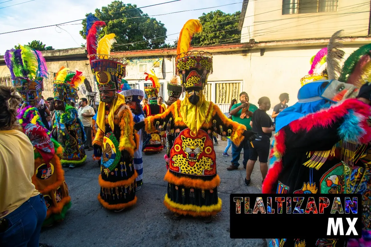 Carnaval de Tlaltizapán 2019 - Parte 2 | Colecciones multimedia | Tlaltizapan.mx