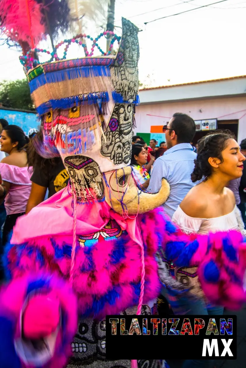 Carnaval de Tlaltizapán 2019 - Parte 2 | Colecciones multimedia | Tlaltizapan.mx