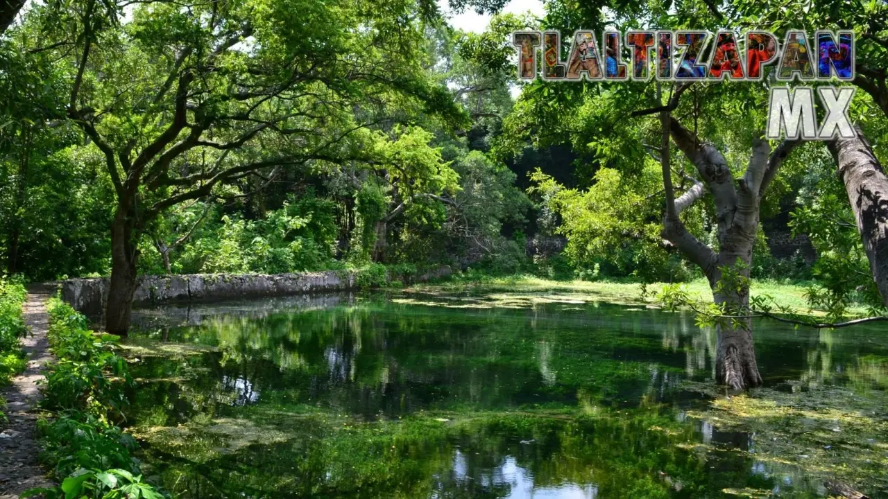 Bonito paisaje del manantial "El ojito de Ticuman"