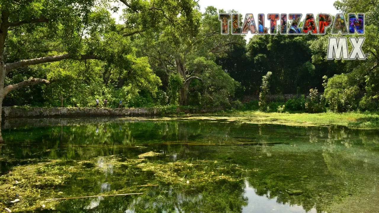 Ojito de agua de Ticuman en Tlaltizapán, Morelos | Colecciones multimedia | Tlaltizapan.mx