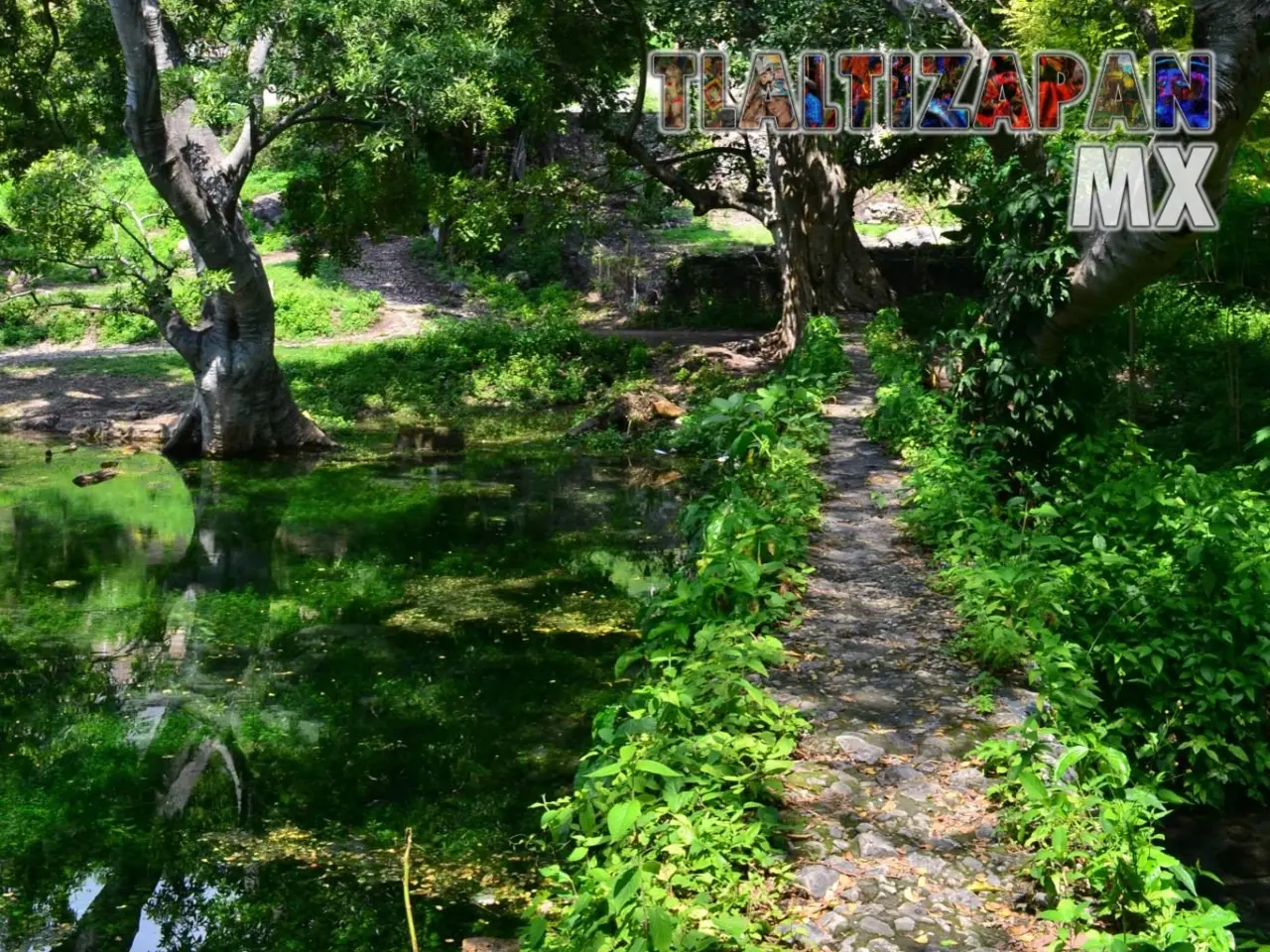 Ojito de agua de Ticuman en Tlaltizapán, Morelos | Colecciones multimedia | Tlaltizapan.mx