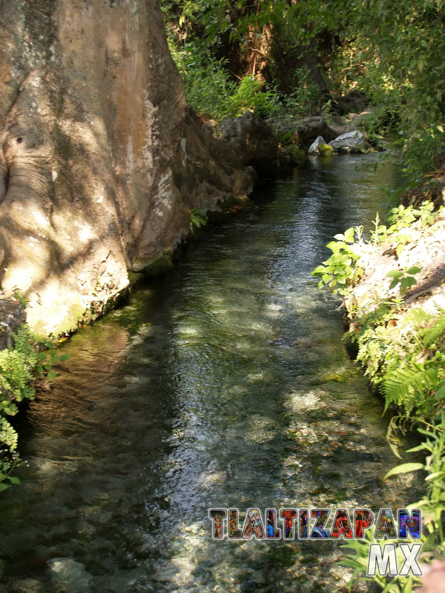 Apancle de los Ricos Tlaltizapán, Morelos