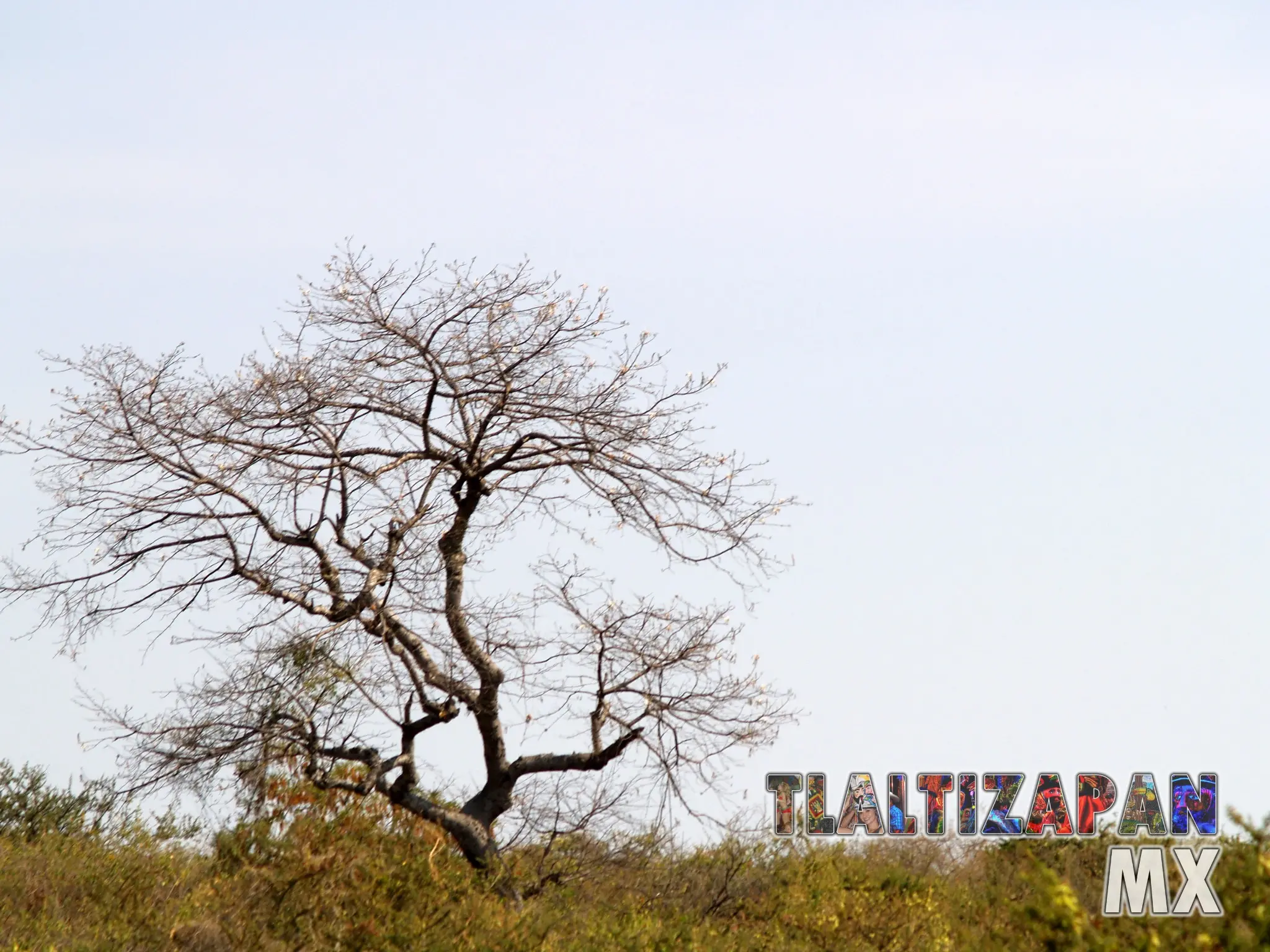 Paisaje natural del bello pueblo mágico de Tlaltizapán, Morelos