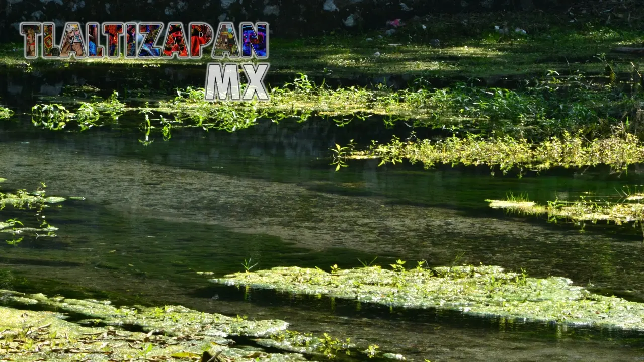 Colección de fotos del manantial "Ojito de agua" de Ticuman en Tlaltizapán, Morelos