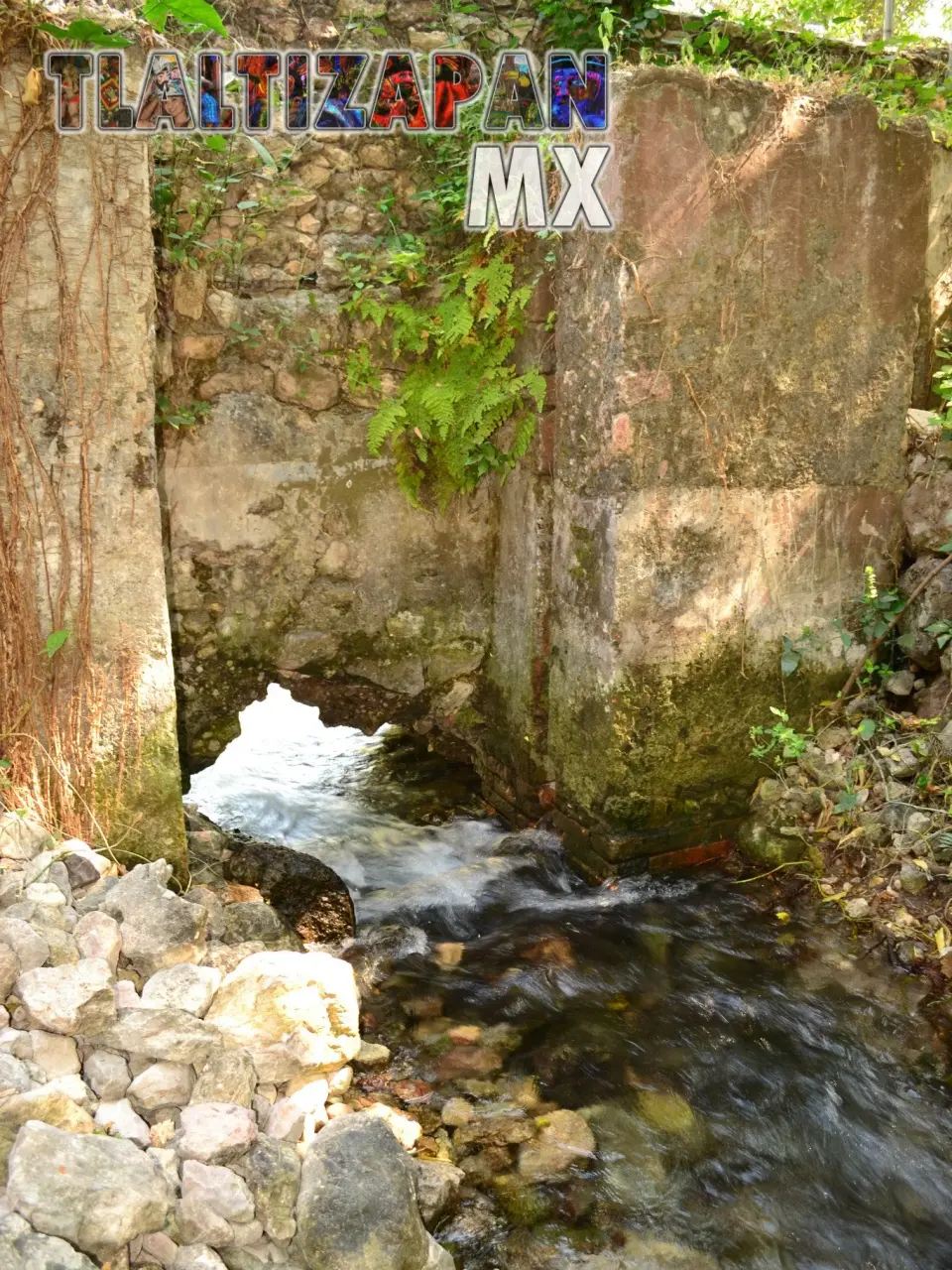 Colección de fotos del manantial "Ojito de agua" de Ticuman en Tlaltizapán, Morelos