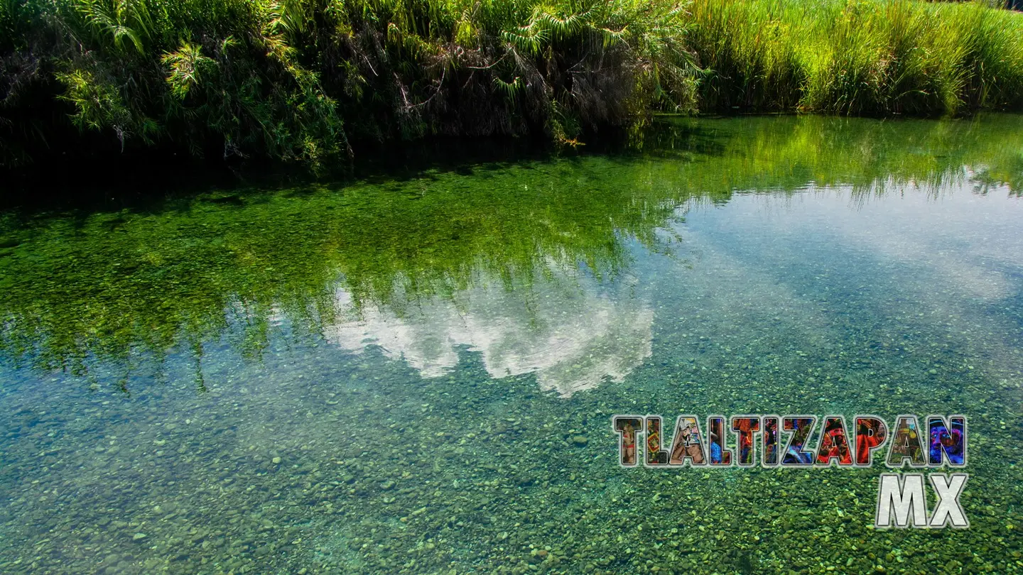 Agua cristalina la que se puede disfrutar en las Tazas de Temilpa