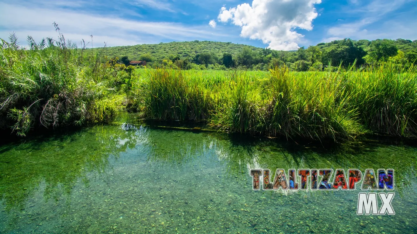 Colección de fotos de las Tazas de Temilpa | Coleccion multimedia