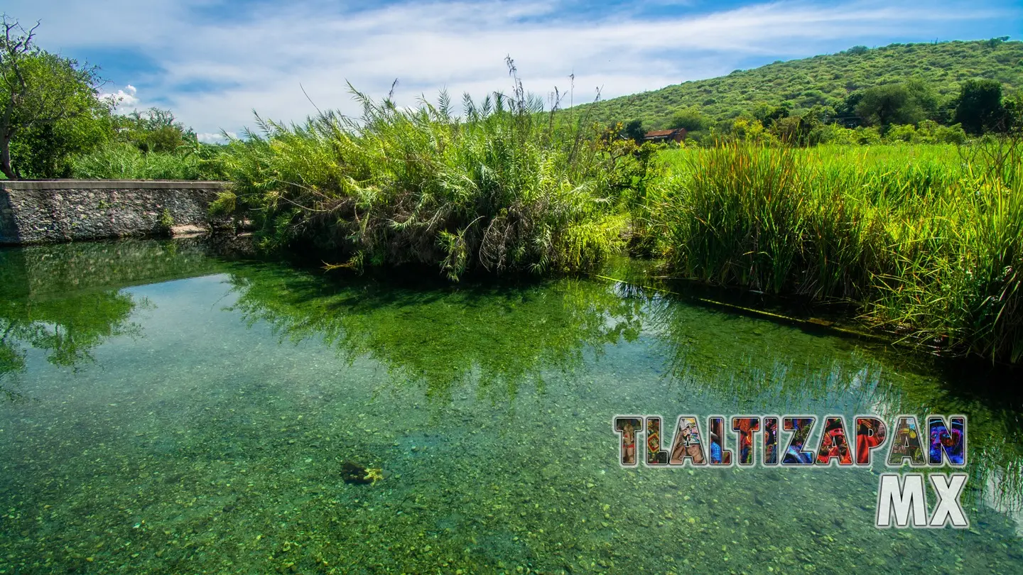 Colección de fotos de las Tazas de Temilpa | Coleccion multimedia