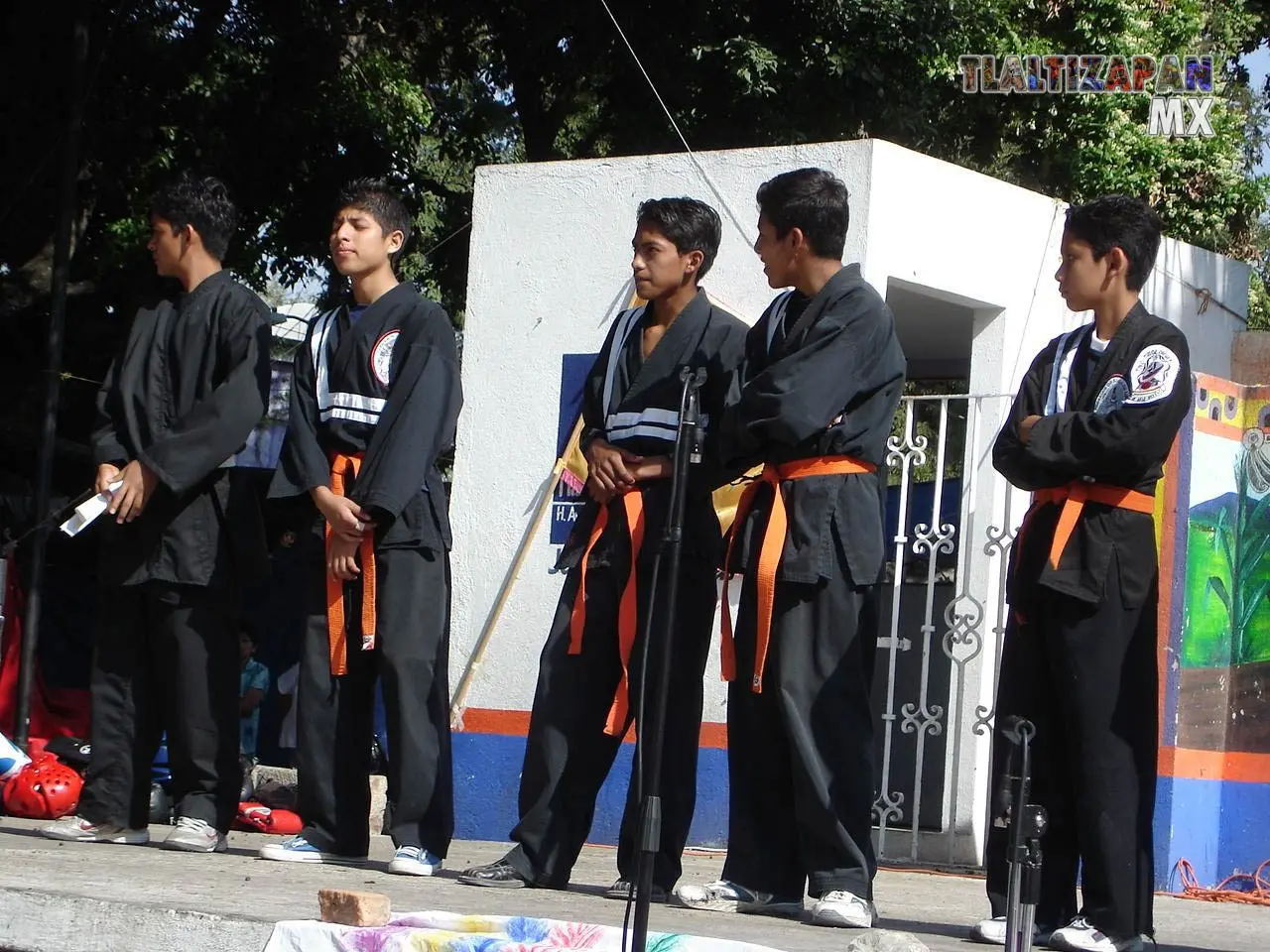 Fotos del Carnaval de Tlaltizapán 2006