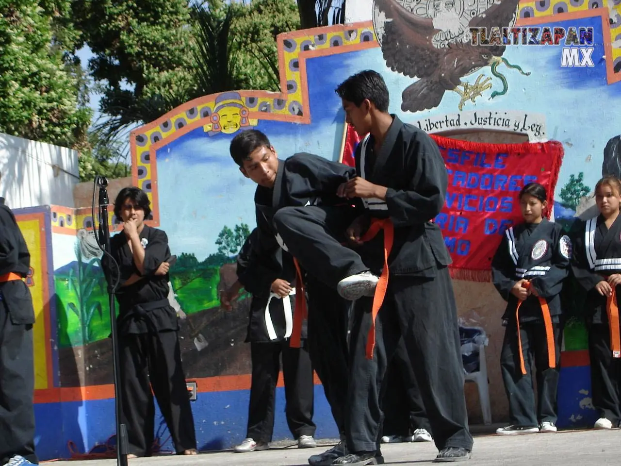 Fotos del Carnaval de Tlaltizapán 2006