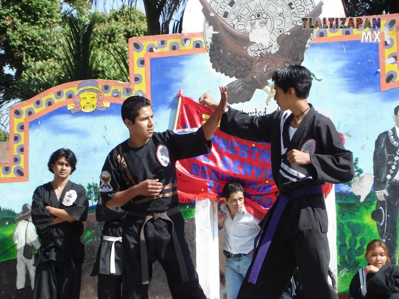 Fotos del Carnaval de Tlaltizapán 2006