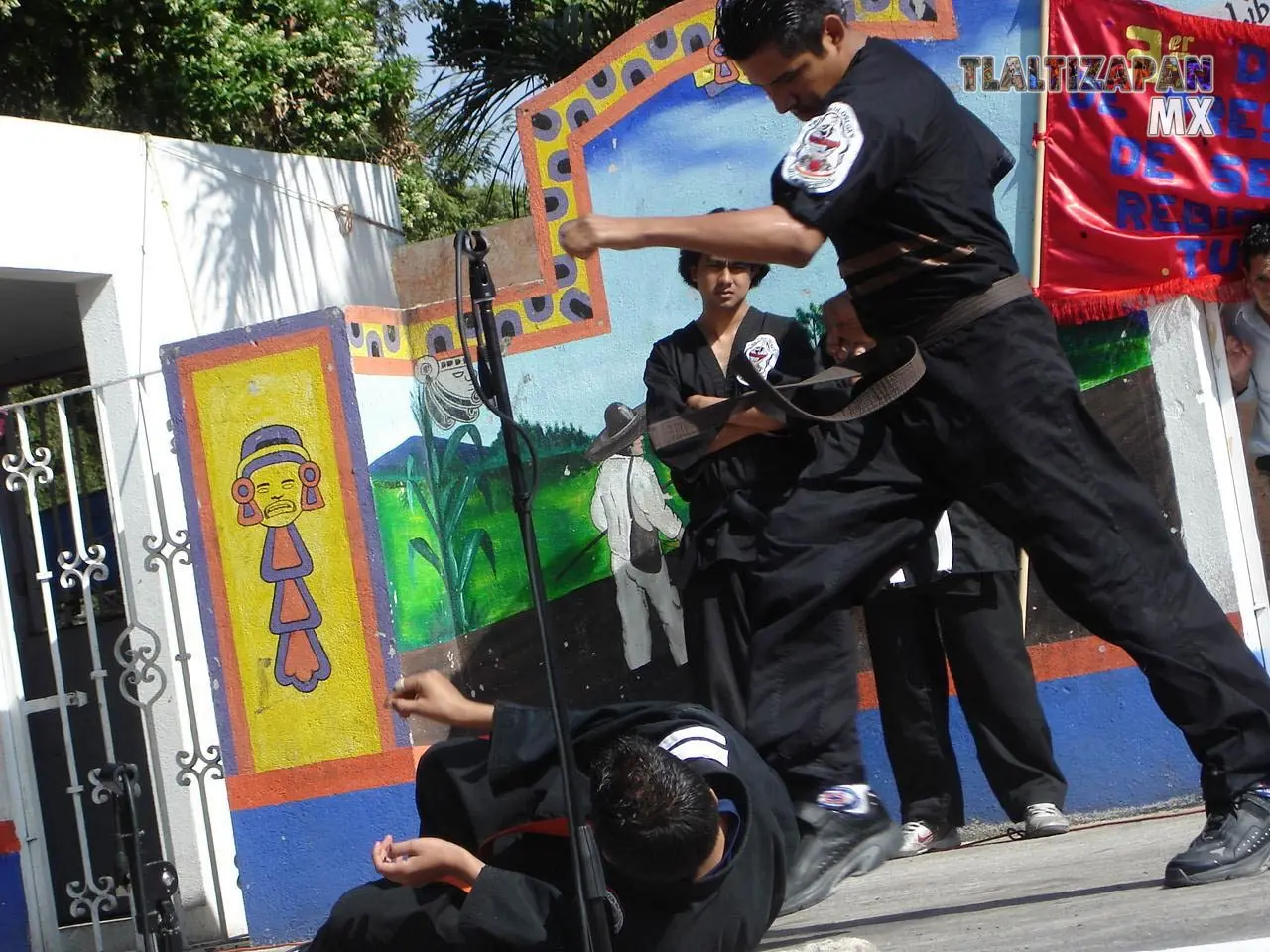 Fotos del Carnaval de Tlaltizapán 2006