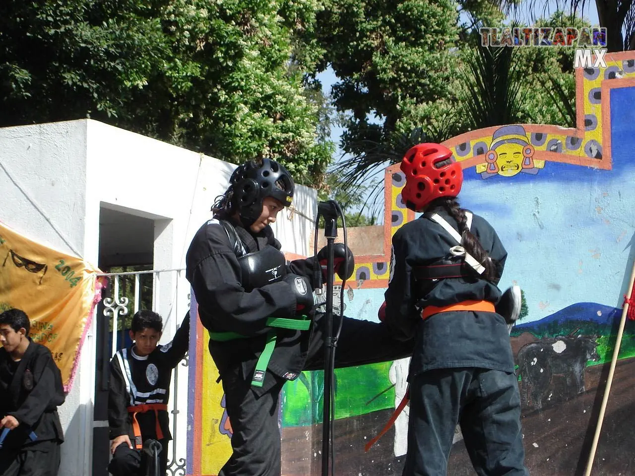 Fotos del Carnaval de Tlaltizapán 2006