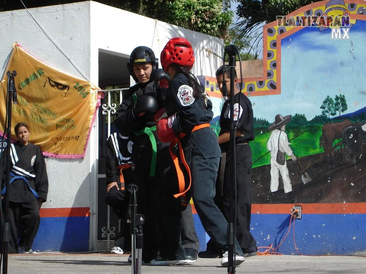 Fotos del Carnaval de Tlaltizapán 2006