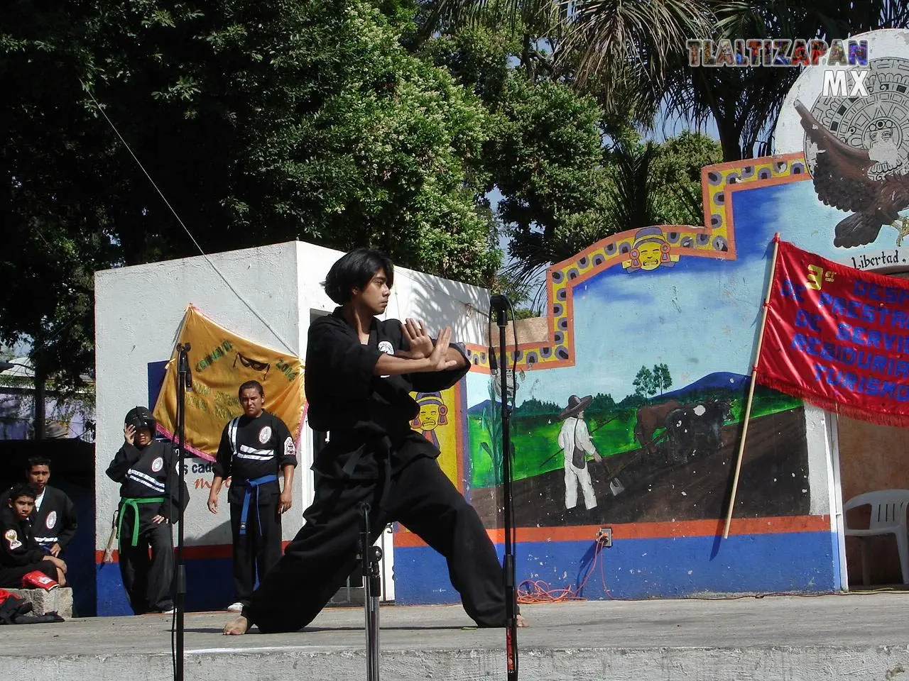 Fotos del Carnaval de Tlaltizapán 2006