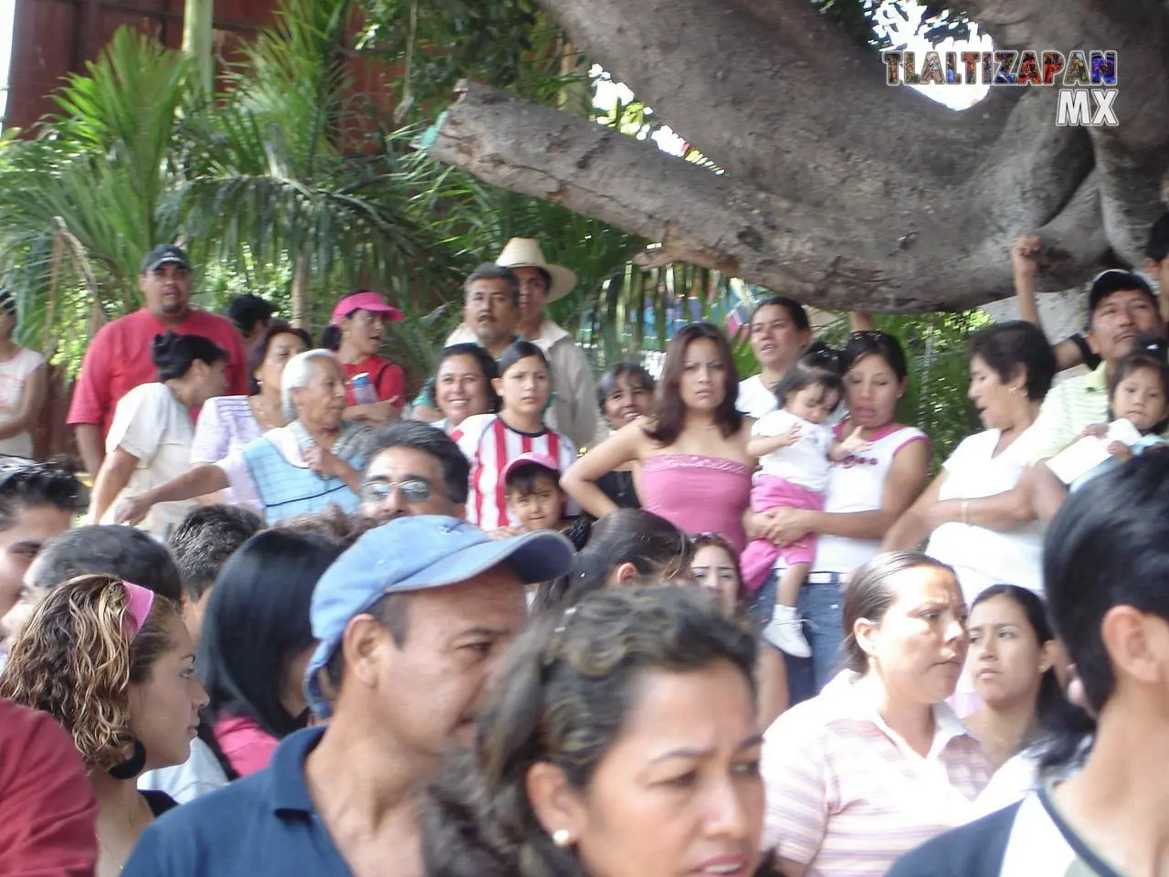 Fotos del Carnaval de Tlaltizapán 2006