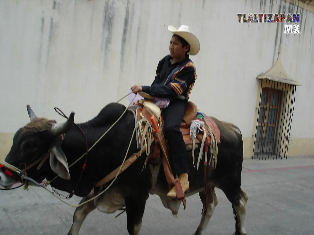 Niño montado en el toro , desfile en carnaval 2006