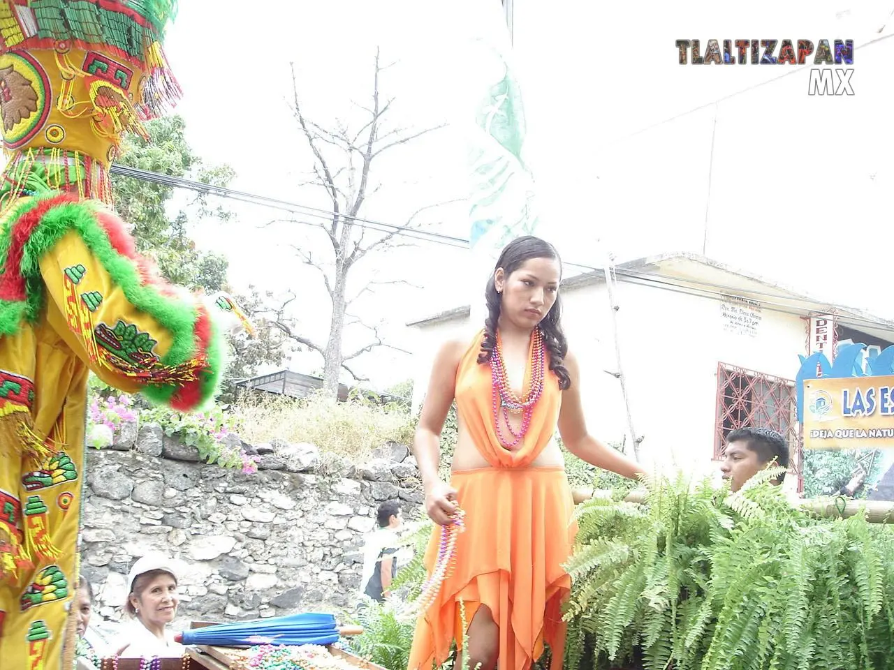 Carros alegóricos, desfile de carnaval 2006