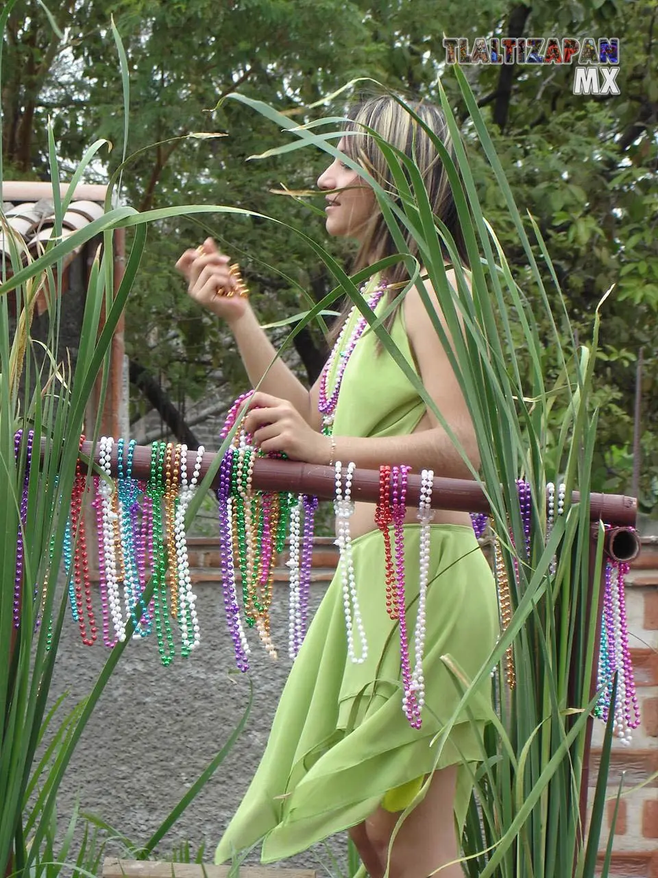 Desfile de comercios en carnaval 2006