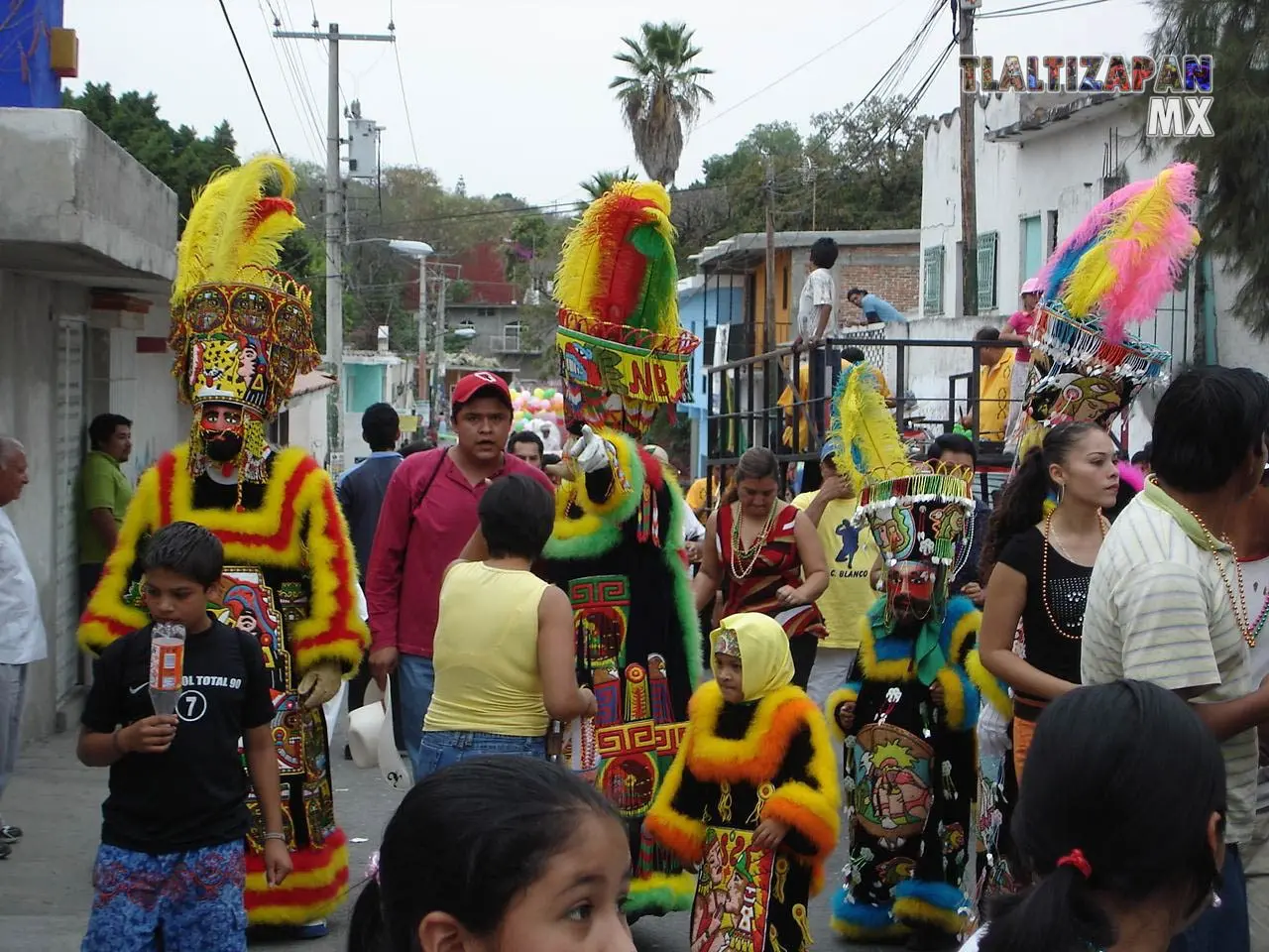 Fotos del Carnaval de Tlaltizapán 2006