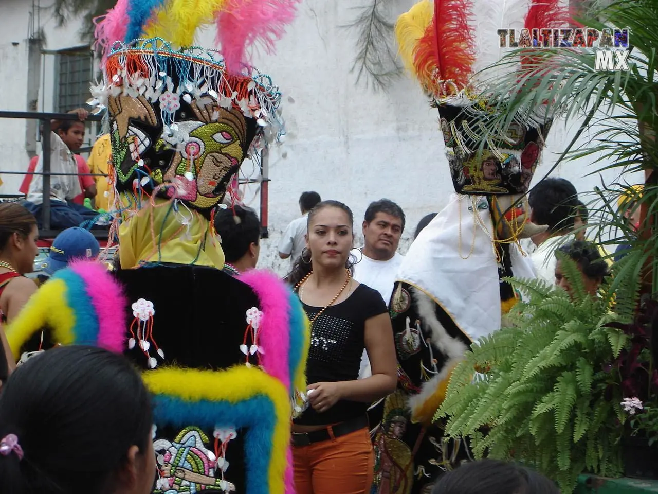 Fotos del Carnaval de Tlaltizapán 2006