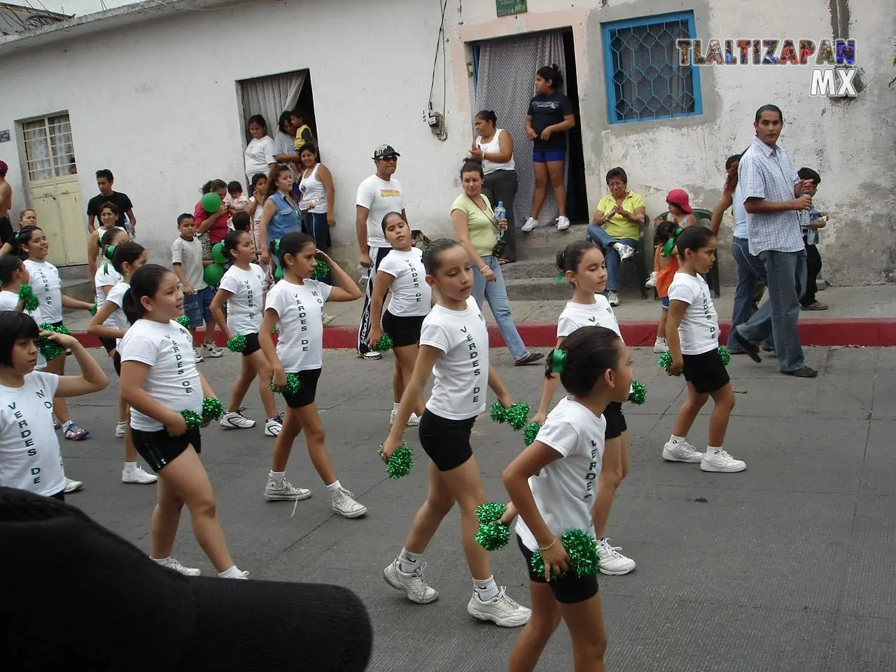 Fotos del Carnaval de Tlaltizapán 2006