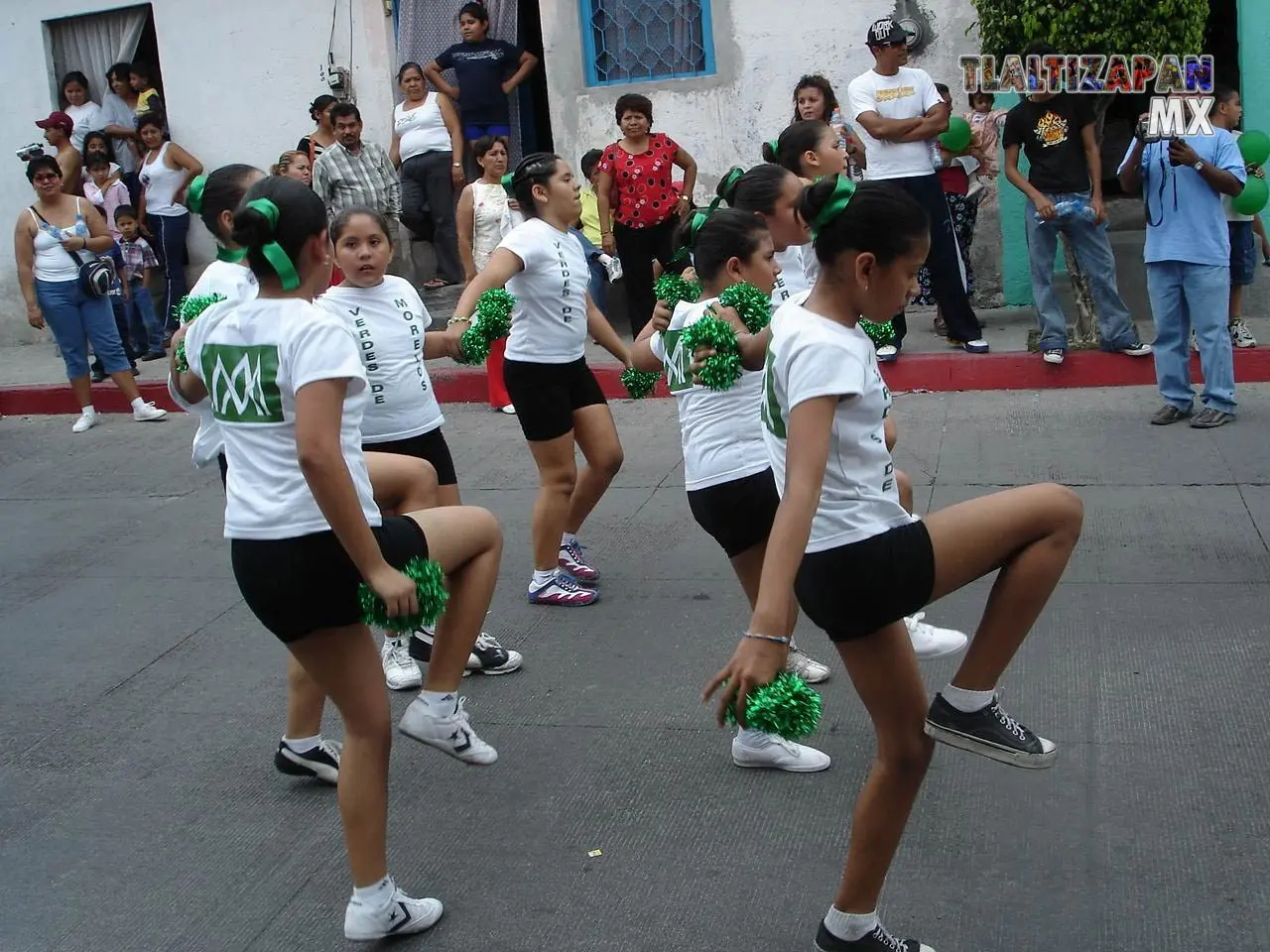 Fotos del Carnaval de Tlaltizapán 2006